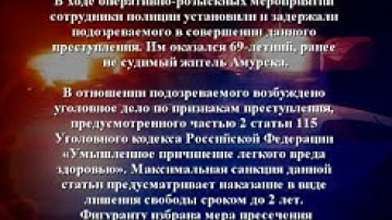 Сводка ОМВД России по Амурскому району