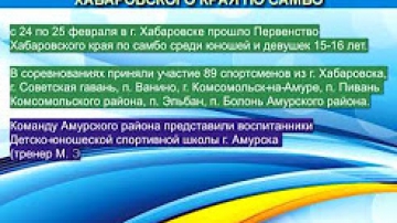 Результаты первенства Хабаровского края по самбо