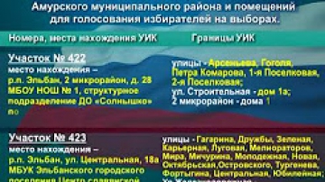 Избирательные участки Амурского муниципального района