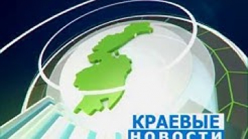 Для ДВ могут внести изменения в Лесной кодекс РФ