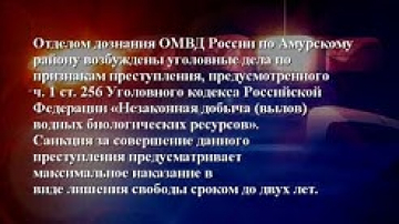 Сводка ОМВД России по Амурскому району 10 октября