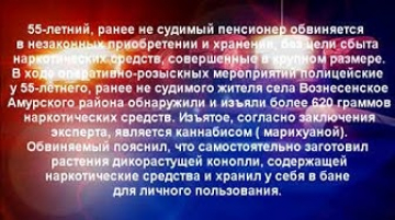 Полицейская сводка от 9 декабря
