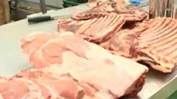 Новых вспышек ящура в Хабаровском крае не зарегистрированно