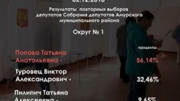 Прошли повторные выборы депутатов собрания депутатов Амурского района