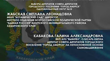 Сведения о выдвинутых и зарег-х кандидатах в депутаты, кандидатах на должность