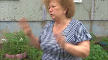 Выбор за жителями. Амурчане сами решают какие дворы благоустраивать
