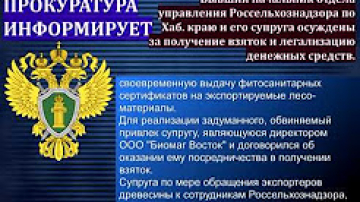 Осуждены за получение взяток и легализация денежных средств