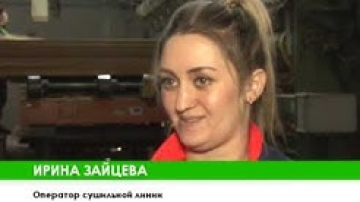 Цех по производству шпона ведет набор специалистов