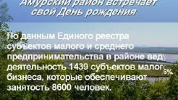 С какими результатами Амурский район встречает свой день рождения