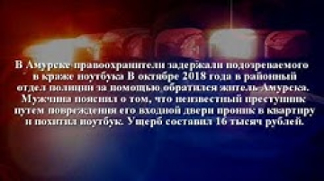 Сводка ОМВД России по Амурскому району за 30 января